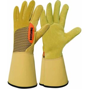 - Gants de protection  épines et ronces - Taille 11