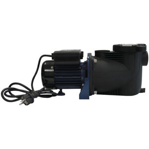 EDG - Aqualux Pompe Filtration Piscine - Modèle 1/3 - Débit Max 8.4 m³/h - avec Préfiltre Intégré - Couvercle Quick Lock sans Vis 100517 (à Utiliser - Publicité