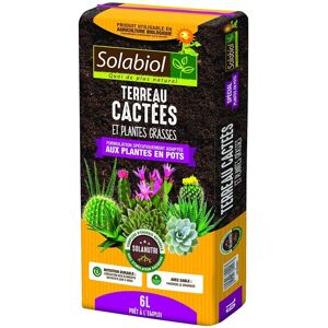 Terreau Cactées et plantes grasses 6L SOLABIOL