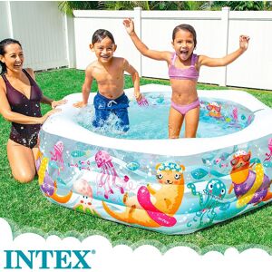 Intex Aquarius Pool Multicolore 541 Liters - Publicité