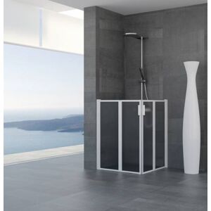 CSA Box Doccia Cabine de douche rabattable a 2 côtes livre Geneve plies H.A2P 110x110 - Argent