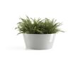 Ecopots - Pot Rond Frankfurt 30 Blanc Gris - ø 30,5 x h. 15 cm - 8 l