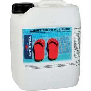 Lapi Regolatore Ph Piu per Piscina Liquido lt 5