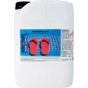 Lapi Antialga per Piscina Liquido lt 10