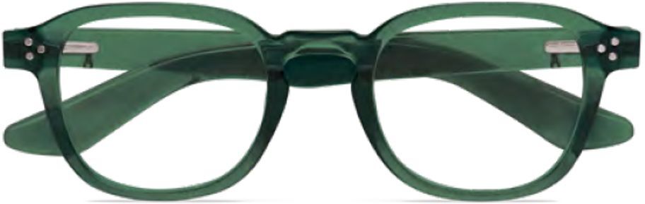 Twins Optical Occhiali Lettura Platinum Giglio Verde Pino +1,00 1 Paio