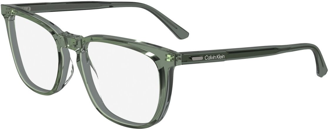 Occhiali da Vista Calvin Klein CK24519 (300)