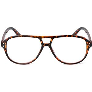 Fads & Fashions Classic Style Reading Glasses Colourful Funky Mens Womans with Metal Hinges DX87 (Tortoise, 3.0, multiplier_x)