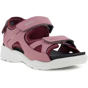 Ecco Biom Raft 700602-60565 BLUSH MORILLO 33