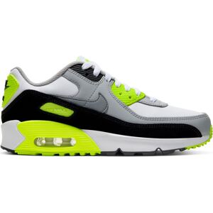 Nike Air Max 90 Ltr Sneakers Unisex Sko Hvid 38