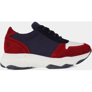 Lion of Porches Zapatilla tricolor Navy