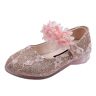 Generic Prinzessinnen Schuhe Kinder Mädchen Kant Spitze Ballerina Mary Jane Flats Schuhe Pailletten Glitzer Schmetterling Tanzschuhe Festliche Kleidschuhe Blumen Party Hochzeitsschuhe Abendschuhe, Rosa, 5 UK