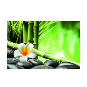 Weitere Deco-Canvas Bild - Bambus Zen 116 x 76 cm