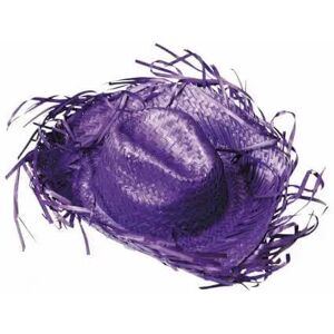 PARTY PRO Chapeau Cowboy Caraïbe Violet