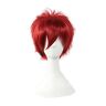 RUIRUICOS Gaara Cosplay Wig Short Red Heat Resistant Synthetic Hair Pelucas Halloween Party Costume Wigs