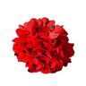La Senorita Haar bloem rood met zwarte stippen