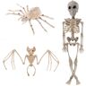 MILAIUN Halloween skelet decoraties, griezelig vleermuisskelet, gesimuleerde spin, Halloween rekwisieten Scary Dier Skelet voor Halloween Decoratie 3-delige set