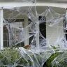 Qipiray 60 g spinnenweb halloweendecoratie met 30 stuks plastic spinnen, elastisch spinnenweb halloween spinnenwebben horrorfeestdecoratie, rekbaar en realistisch