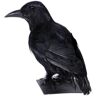 Disfrazzes Corvo Preto (30 cm - Halloween)