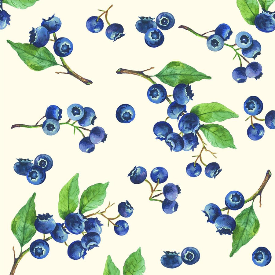 IHR Servett Blueberries 24x24 cm