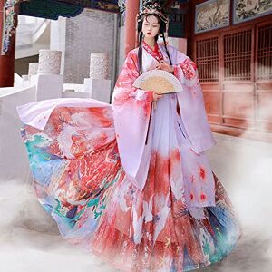 OZMDXKJ Traditional Chinese Hanfu Costume Skirt Outfit for Women's Cosplay Stage Photography, L=166-170cm,B