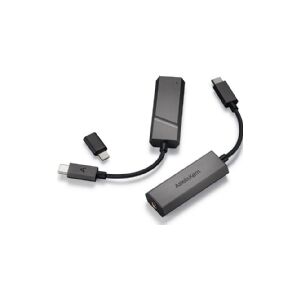 Astell&Kern Hovedtelefonforstærker Astell& Kern Astell& Kern HC2 (PEE52) DUAL USB-DAC Android/Iphone