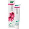 A. Vogel Dentaforce Echinacea Pasta Dental 100gr