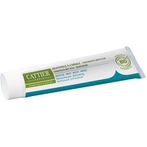 Dentifrice Dentargile Menthe Bio Cattier