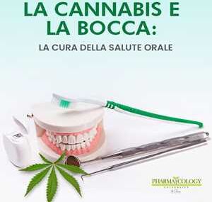 La cannabis e la bocca: la cura della salute orale