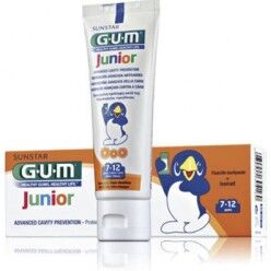 GUM DENTIFRICIO 7/12