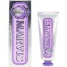 Marvis Jasmin Mint toothpaste 25 ml