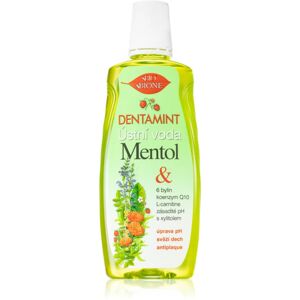 Bione Cosmetics Dentamint Menthol mouthwash 500 ml
