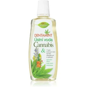 Bione Cosmetics Dentamint Cannabis mouthwash 500 ml