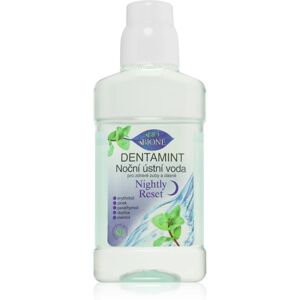 Bione Cosmetics Dentamint Nightly Reset mouthwash night 265 ml