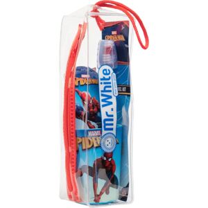 Marvel Spiderman Travel Dental Set dental care set 3y+(for children)