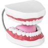 physa Teeth Model - Set of Teeth PHY-TM-2