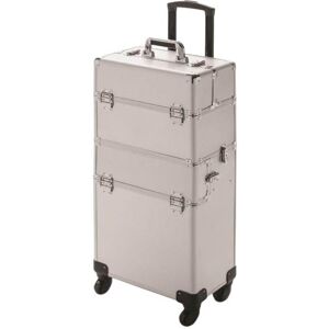 Beauty Coiffure Valise Esthetique Expert Silver line