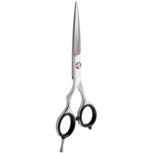 Beauty Coiffure Ciseaux de coupe 5,5a offset Iwasaki Master