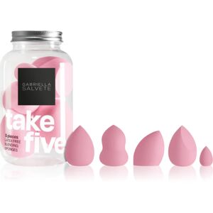 Gabriella Salvete Take Five Pink applicator set (for the face)