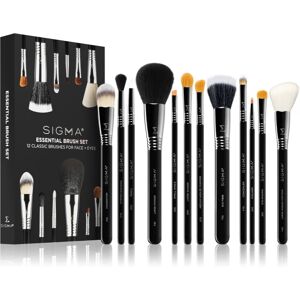 Sigma Beauty Essential brush set