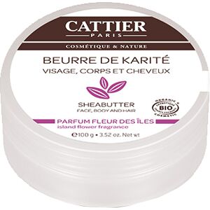 Cattier Beurre de Karite Type de soin