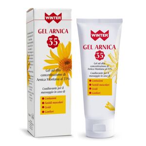 Gdp Srl-General Dietet.Pharma Winter Gel Arnica 35 100ml