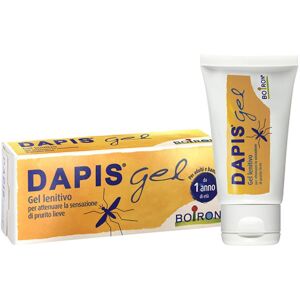 Boiron Srl DAPIS GEL LENITIVO 40ML BO