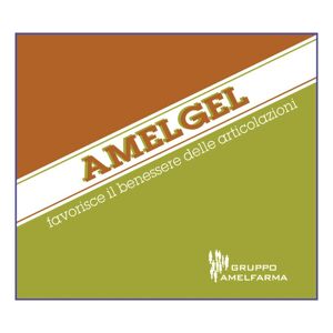 Gruppo Amelfarma Di Cioni V. Amelgel 100ml