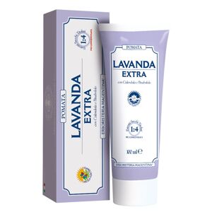 Magentina Lavanda Pomata Antimicrobica Erboristeria 100 ml