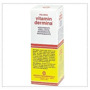 Vitamindermina Polvere 100 G