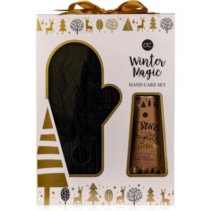 Accentra Winter Magic Vanilla & Musk gift set(for hands)