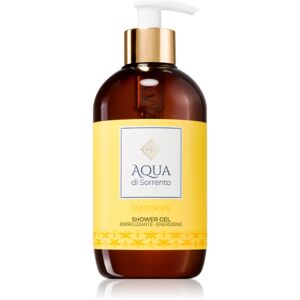 Aqua di Sorrento Partenope shower gel W 400 ml