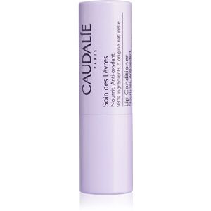 Caudalie Lip Care moisturising lip balm 4,5 g