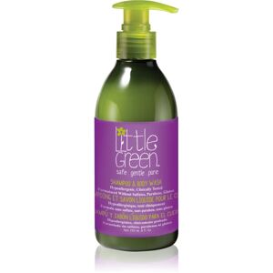 Little Green Kids 2-in-1 shampoo and shower gel for children 240 ml