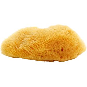 Magnum Natural Caribbean sea sponge 10- 12 cm